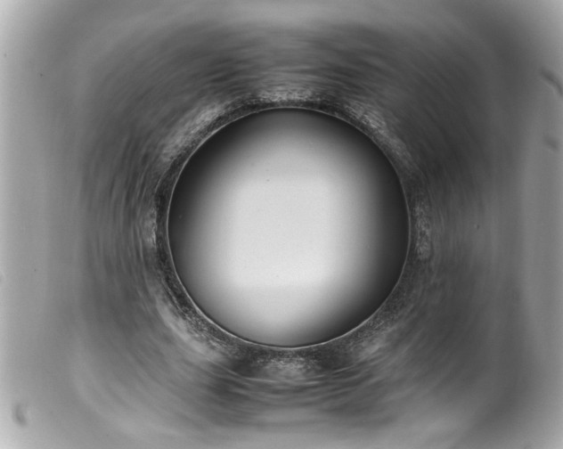 X0000100230631200805301413