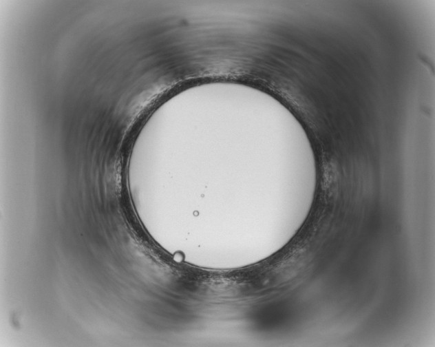 X0000100230632200805301413