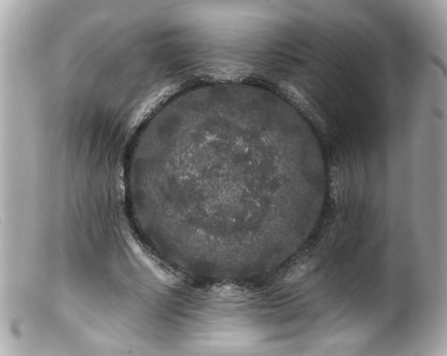 X0000100230634200805301413