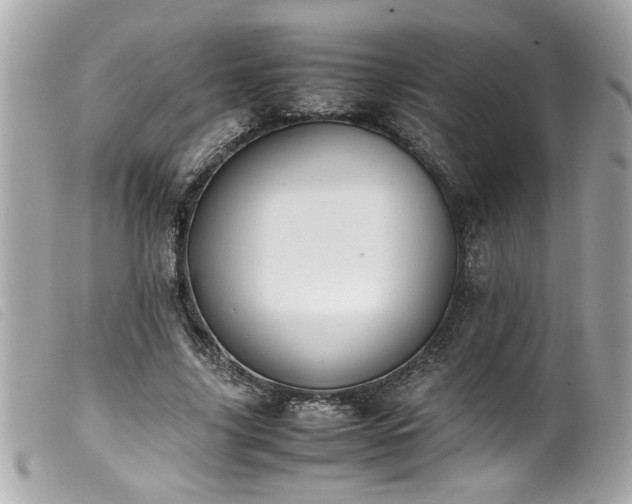 X0000100230635200805301413