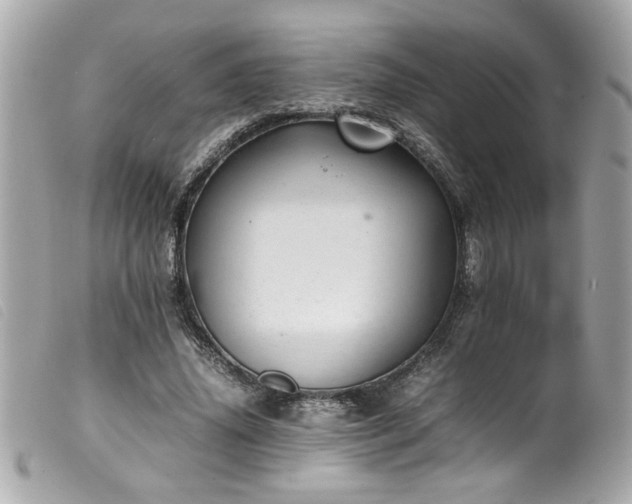 X0000100230636200805301413