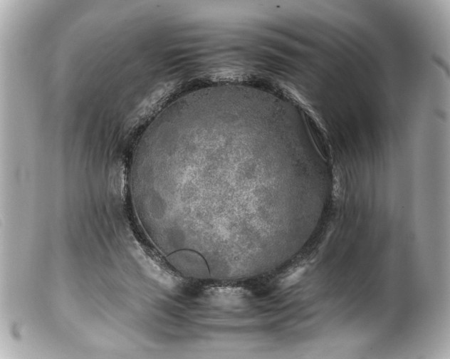 X0000100230637200805301413