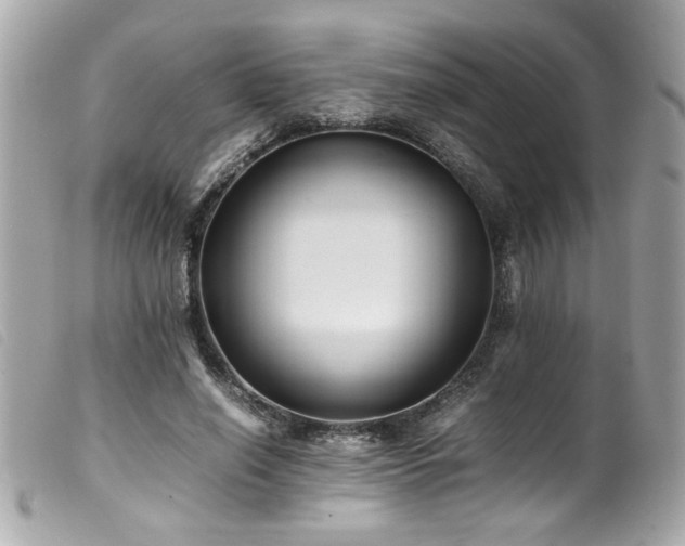 X0000100230638200805301413