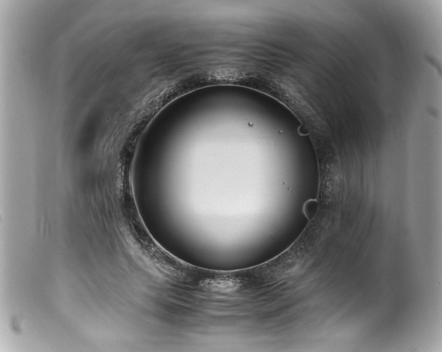 X0000100230639200805301413