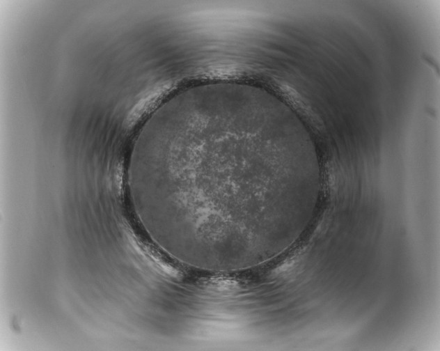 X0000100230640200805301413