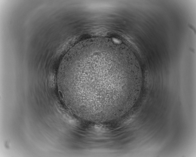 X0000100230641200805301413