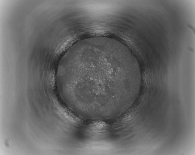 X0000100230642200805301413