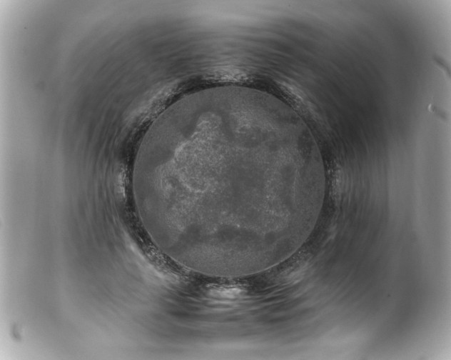X0000100230643200805301413