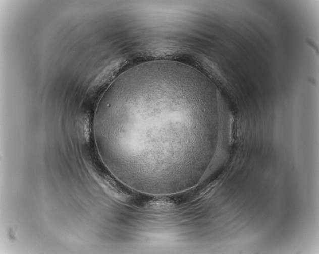 X0000100230644200805301413
