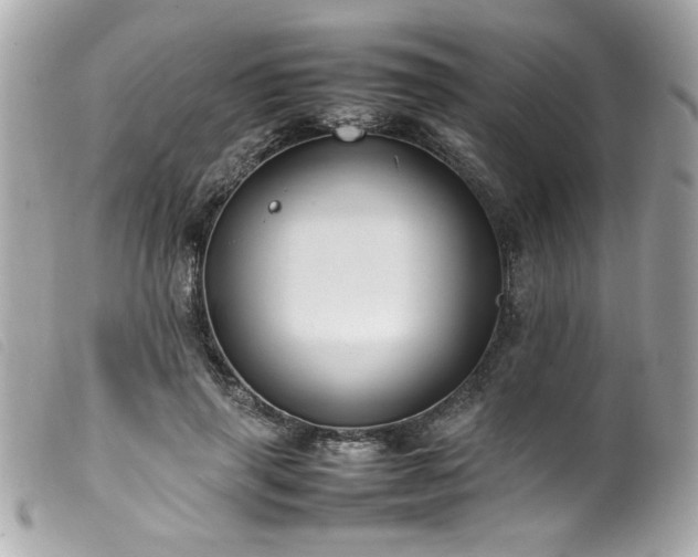 X0000100230645200805301413