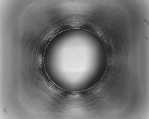 X0000100230646200805301413