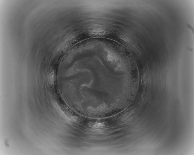 X0000100230647200805301413