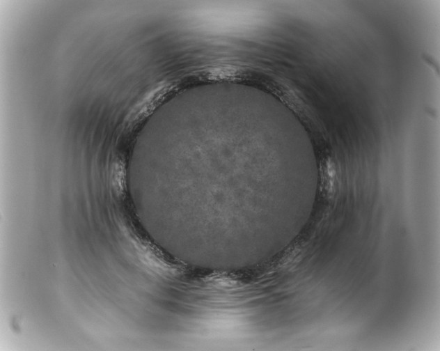 X0000100230648200805301413