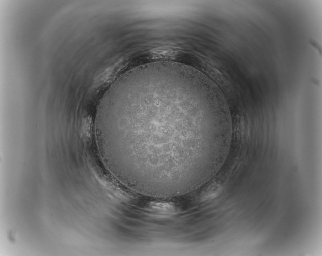 X0000100230649200805301413