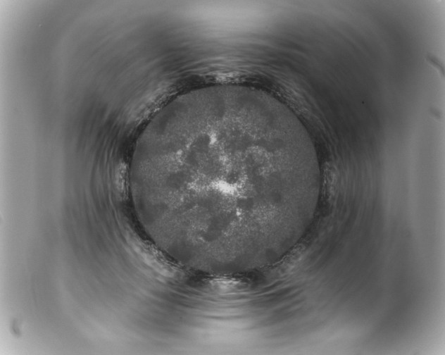 X0000100230650200805301413
