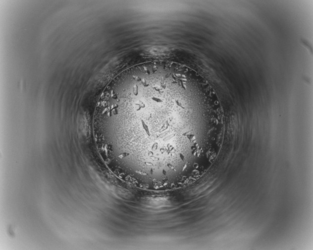 X0000100230651200805301413