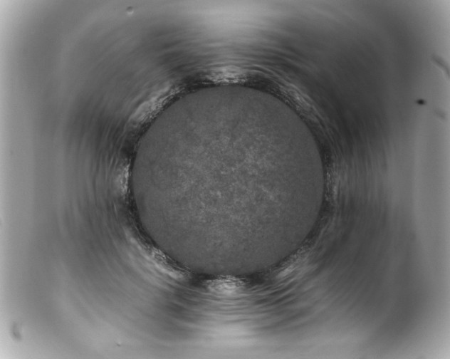 X0000100230652200805301413