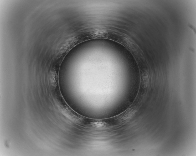 X0000100230654200805301413