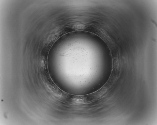 X0000100230655200805301413