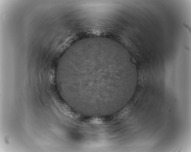 X0000100230656200805301413