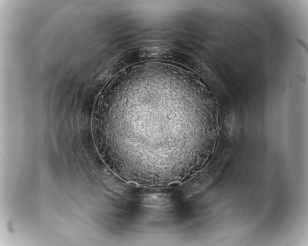X0000100230657200805301413