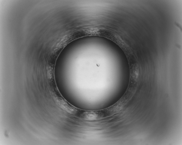 X0000100230658200805301413