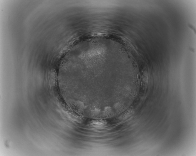 X0000100230659200805301413