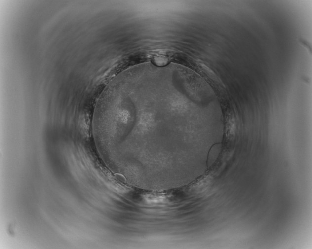 X0000100230661200805301413