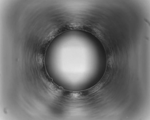 X0000100230662200805301413