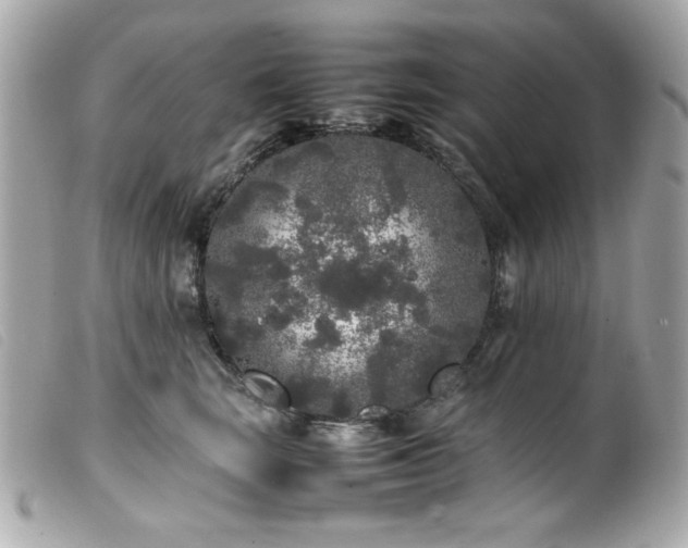 X0000100230663200805301413