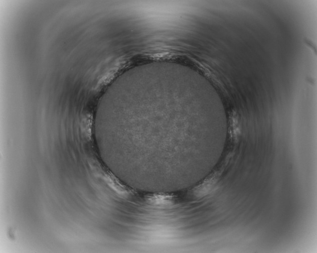 X0000100230664200805301414