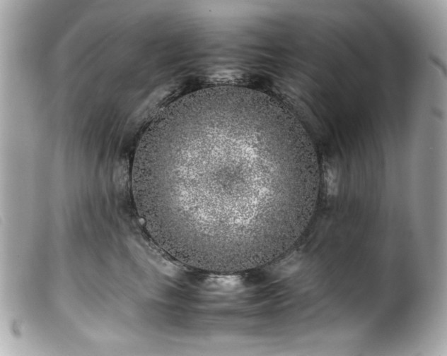 X0000100230665200805301414