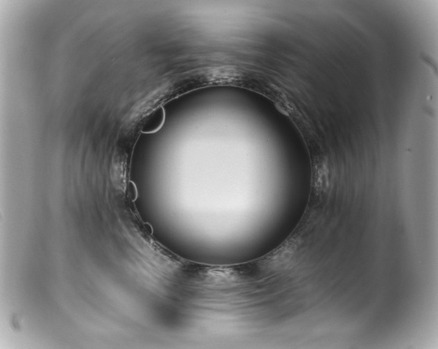 X0000100230666200805301414