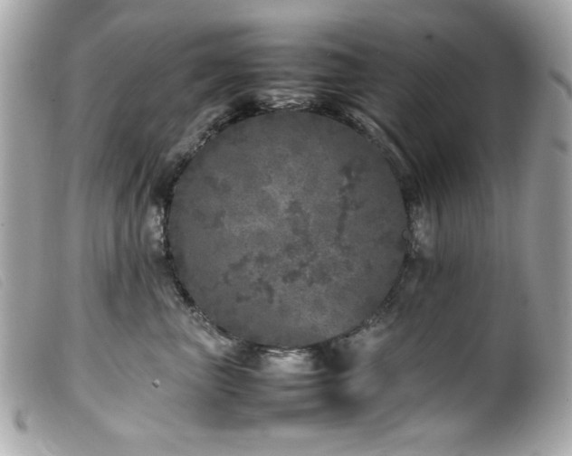 X0000100230667200805301414