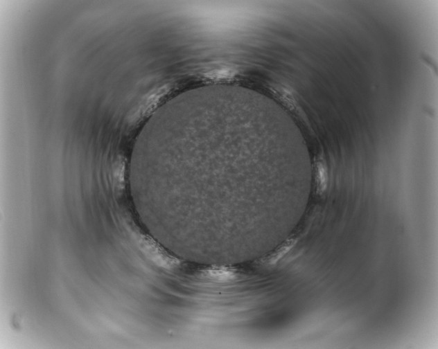 X0000100230668200805301414
