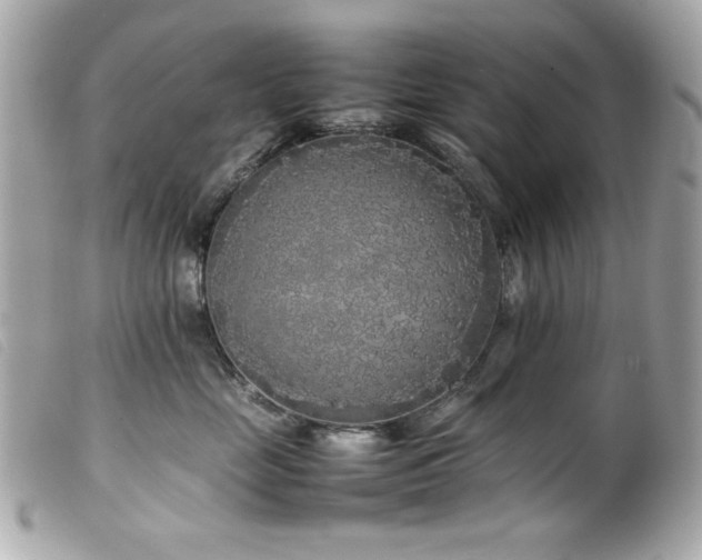 X0000100230669200805301414