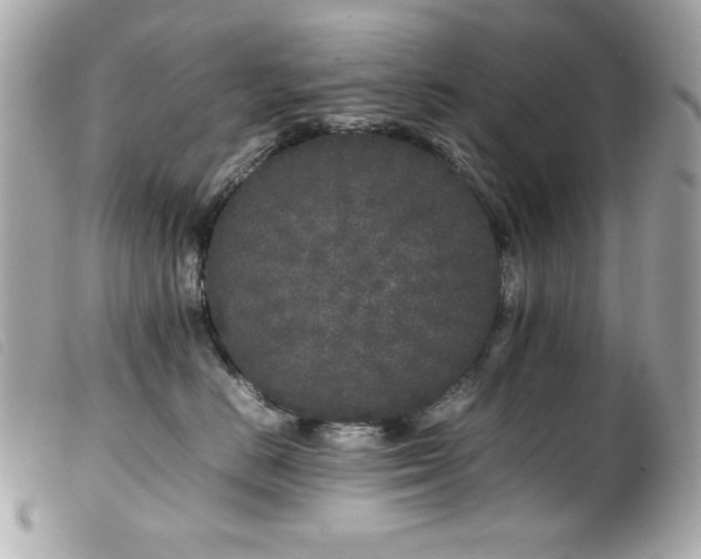 X0000100230670200805301414