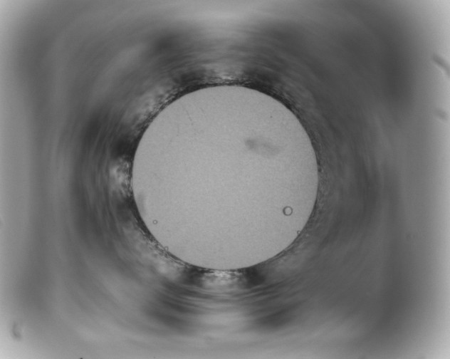 X0000100230672200805301414