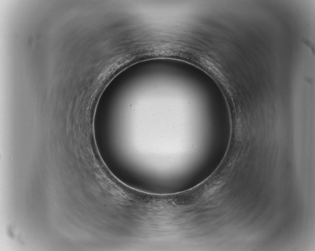X0000100230673200805301413