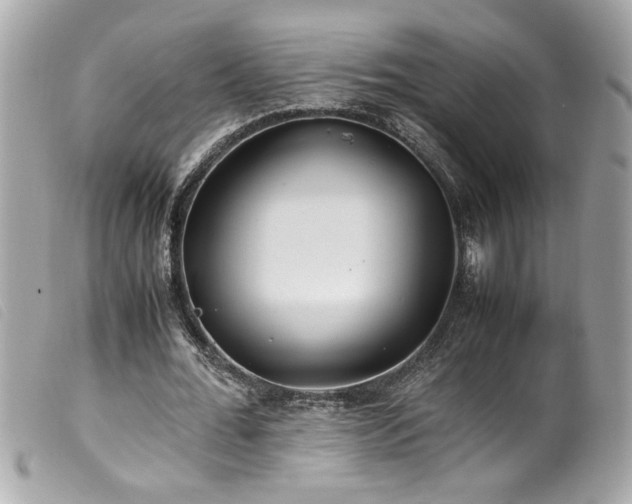 X0000100230676200805301413