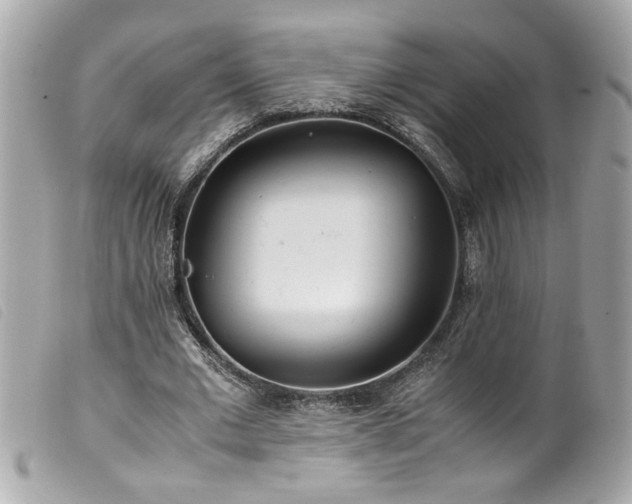 X0000100230677200805301413