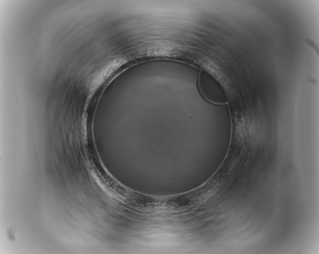 X0000100230678200805301413