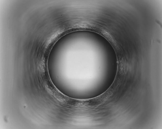 X0000100230680200805301413