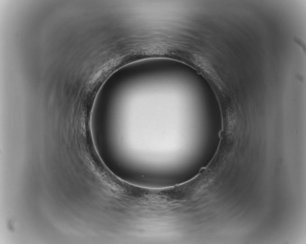 X0000100230681200805301413
