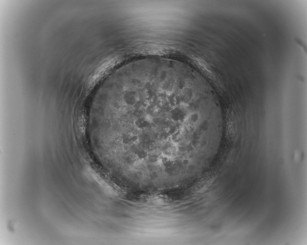 X0000100230683200805301413