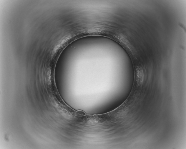 X0000100230684200805301413