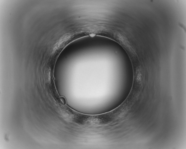 X0000100230685200805301413
