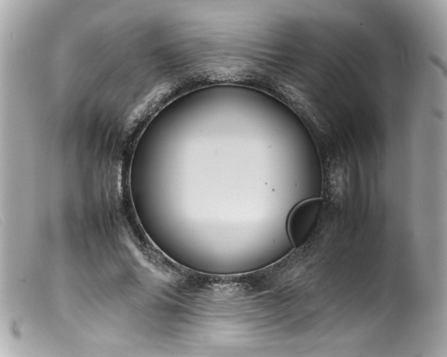 X0000100230686200805301413