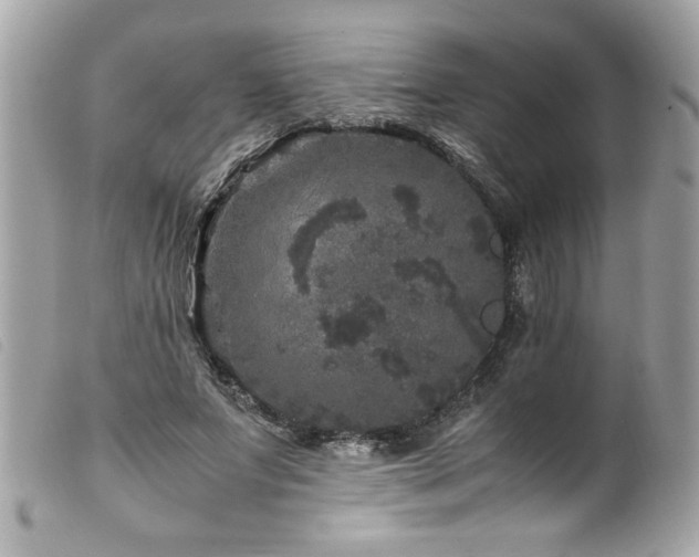 X0000100230687200805301413