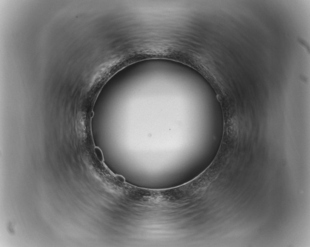 X0000100230688200805301413